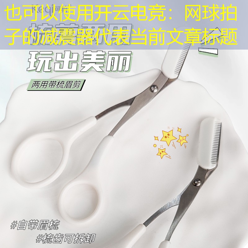 网球拍子的减震器